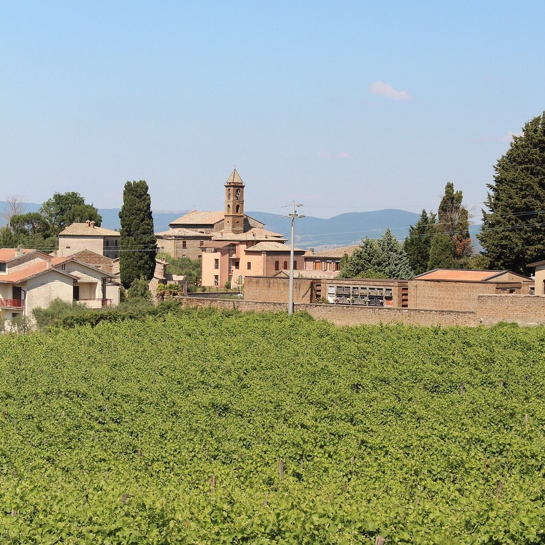 Madonna del Latte Winery