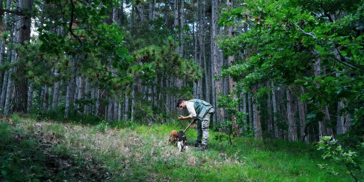 Truffle Hunting with Giuliano Tartufi